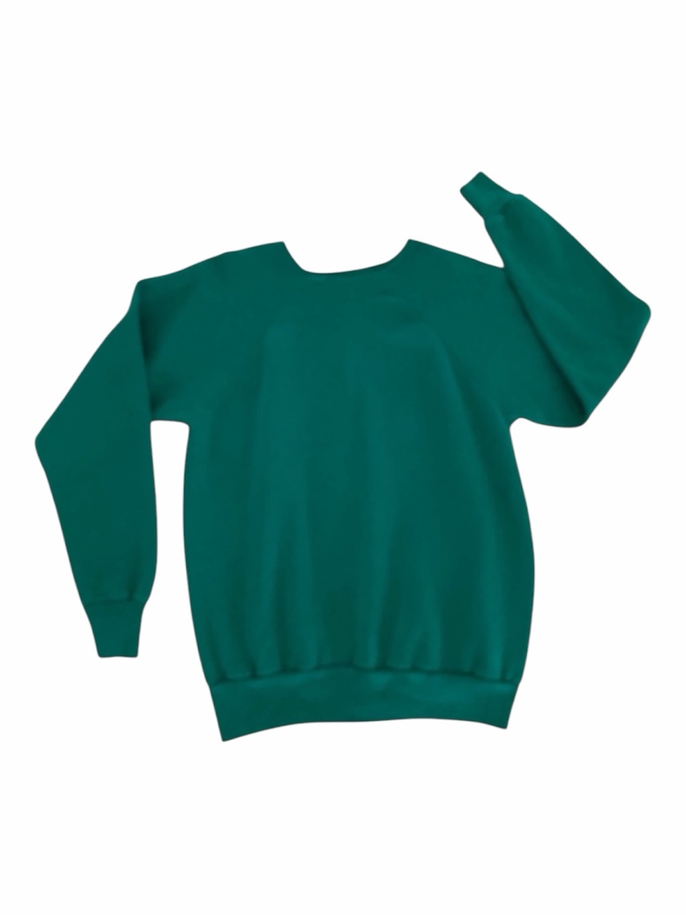 Vintage Pannill by Hanes Sweatshirt Mens Large Green Fleece Lined Blank 80's USA